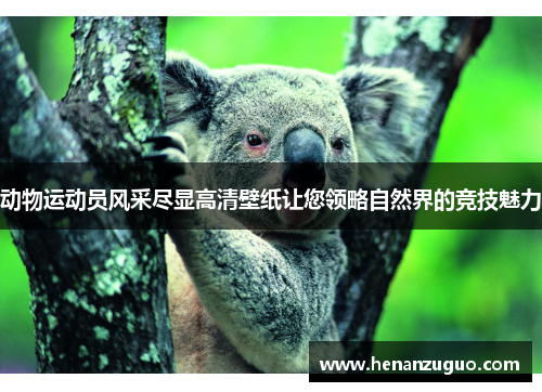 动物运动员风采尽显高清壁纸让您领略自然界的竞技魅力