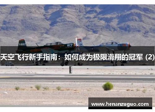 天空飞行新手指南：如何成为极限滑翔的冠军 (2)